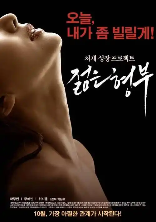 长夜将明电视剧封面